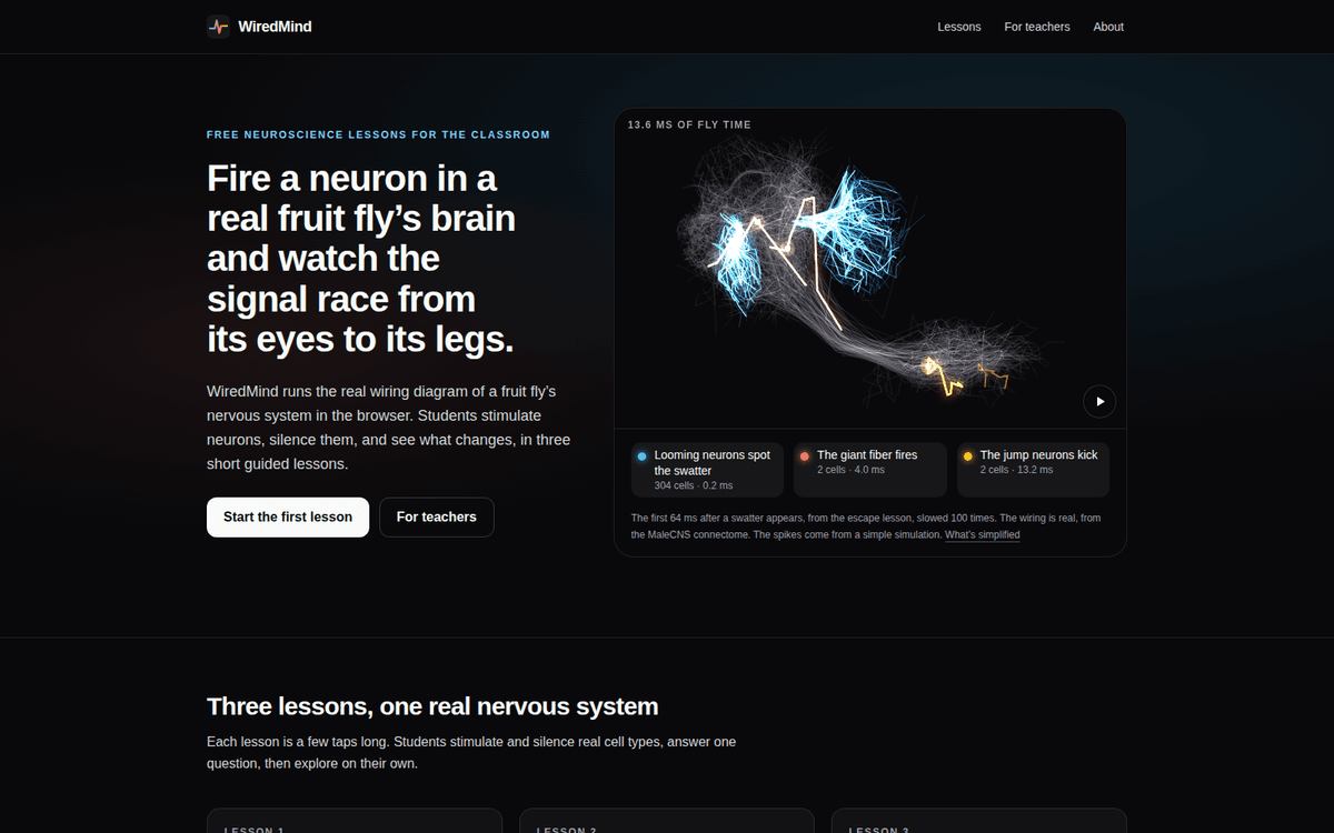 WiredMind — project by Guy Dahan