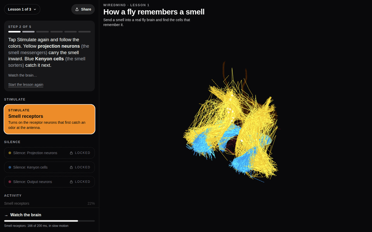 WiredMind open-source neuroscience lessons by Guy Dahan — a fruit fly's smell circuit firing